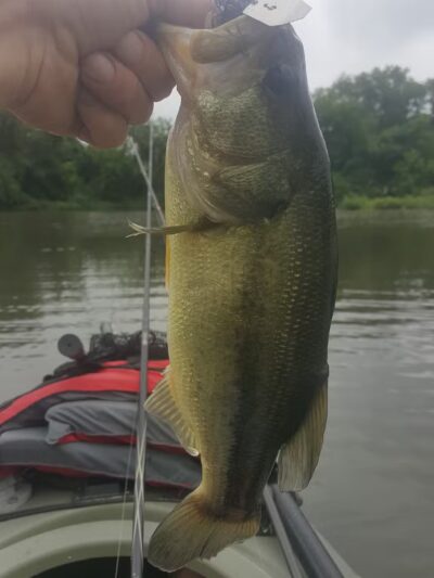 Plains Park - Milford, MA