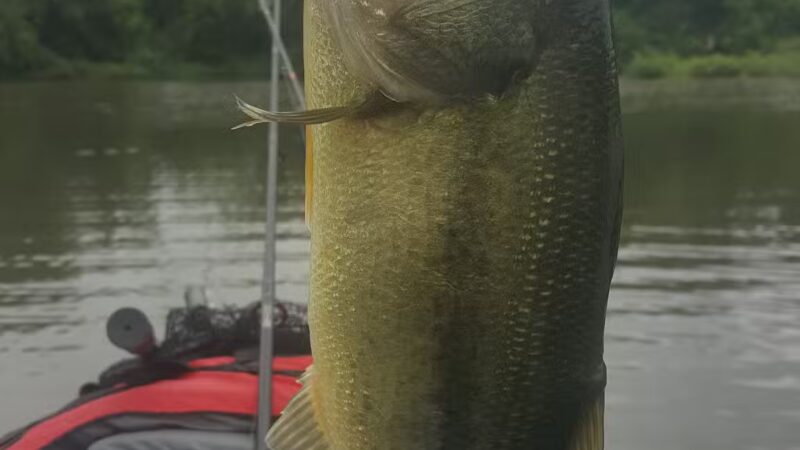 Plains Park - Milford, MA