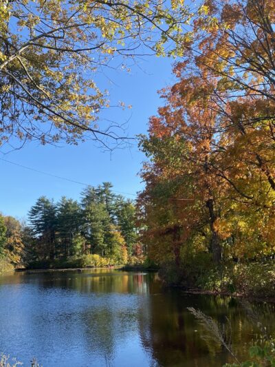 Bicentennial Park - Milford, NH