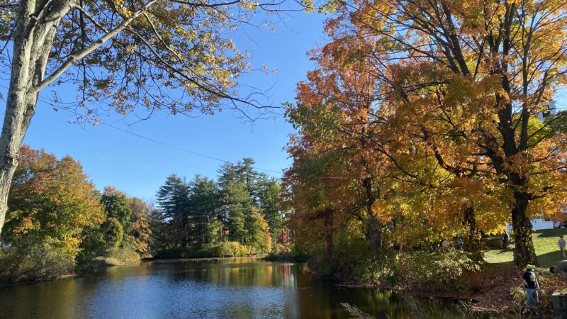 Bicentennial Park - Milford, NH