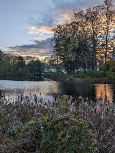Bicentennial Park - Milford, NH
