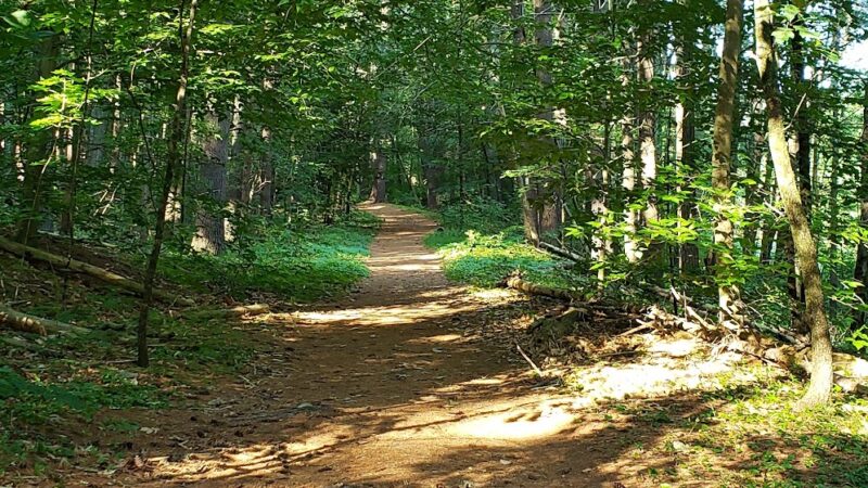 Granite Town Rail Trail Parking - Milford, NH