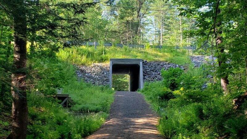 Granite Town Rail Trail Parking - Milford, NH