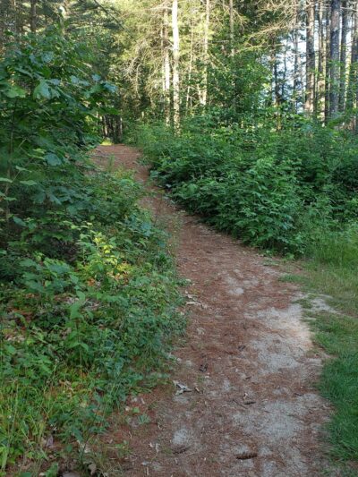 Granite Town Rail Trail Parking - Milford, NH