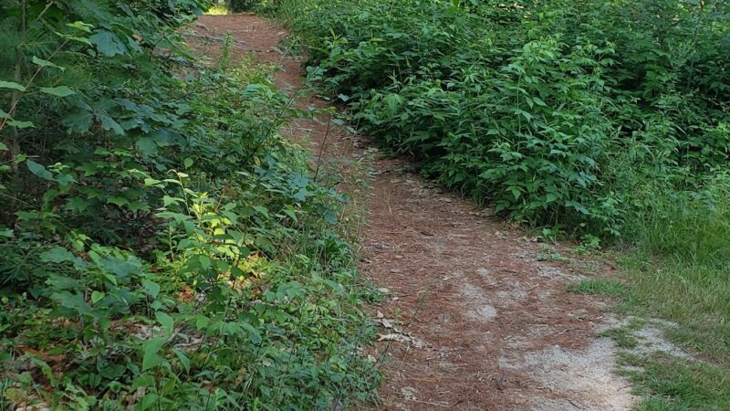 Granite Town Rail Trail Parking - Milford, NH