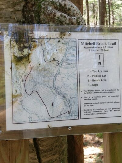 Mile Slip Town Forest Parking - Milford, NH