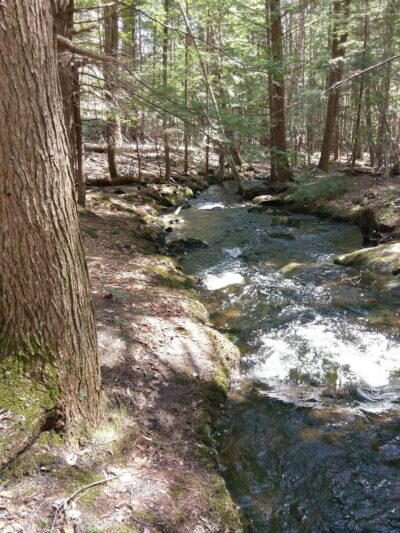 Mile Slip Town Forest Parking - Milford, NH