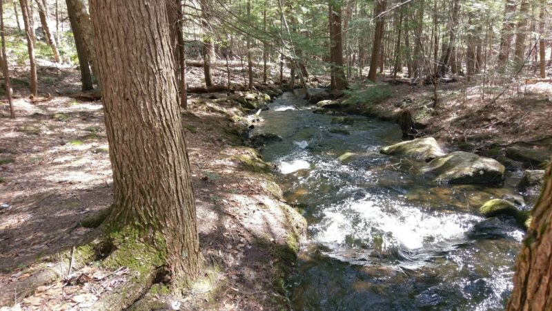 Mile Slip Town Forest Parking - Milford, NH