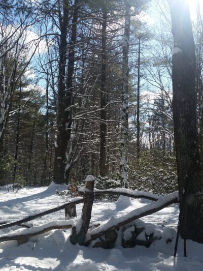 Mile Slip Town Forest Parking - Milford, NH