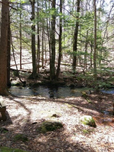 Mile Slip Town Forest Parking - Milford, NH