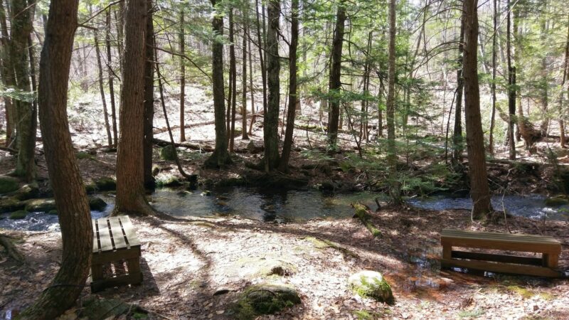 Mile Slip Town Forest Parking - Milford, NH