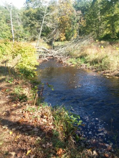 Old Police Station Field - Milford, NH