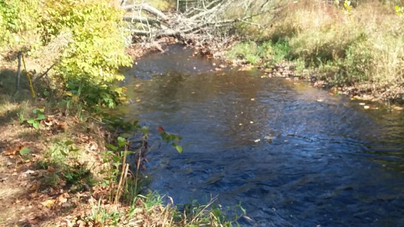 Old Police Station Field - Milford, NH