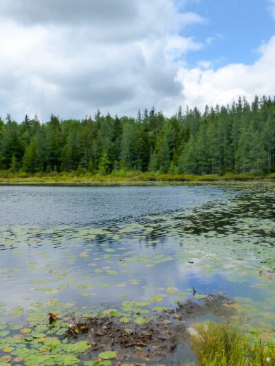 Mud Lake Trail - SR 58 Trailhead - Milford, NY