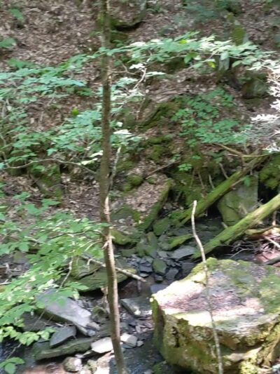 Mud Lake Trail - SR 58 Trailhead - Milford, NY