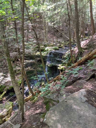 Mud Lake Trail - SR 58 Trailhead - Milford, NY