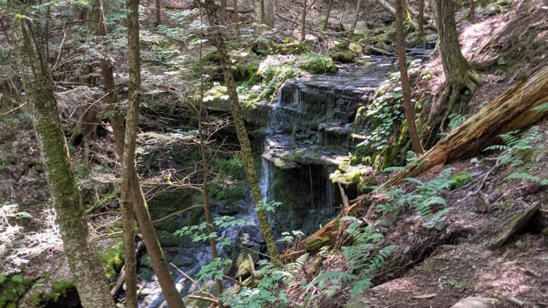 Mud Lake Trail - SR 58 Trailhead - Milford, NY