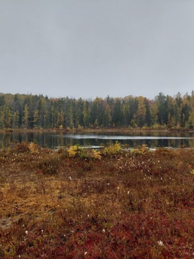Mud Lake Trail - SR 58 Trailhead - Milford, NY
