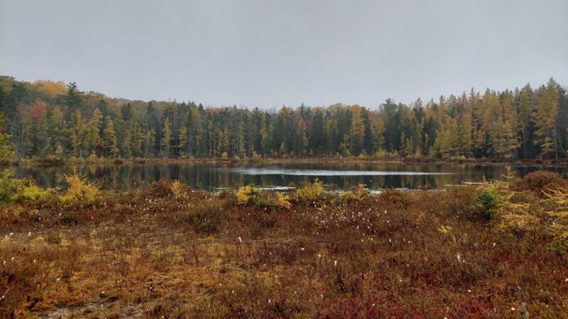 Mud Lake Trail - SR 58 Trailhead - Milford, NY