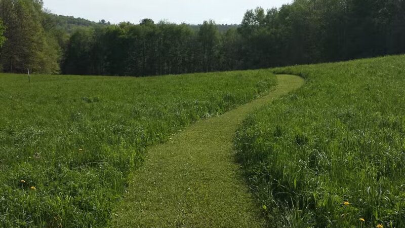 VIllage of Milford - Sabine Curry Recreational Park - Milford, NY