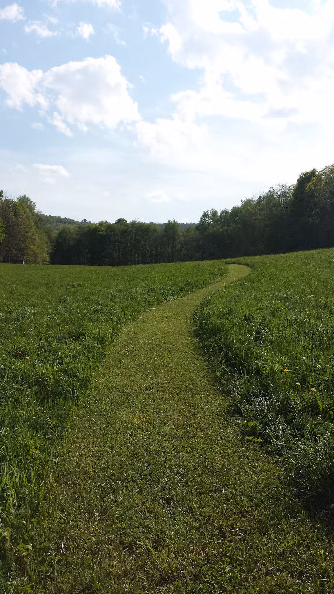 VIllage of Milford - Sabine Curry Recreational Park - Milford, NY