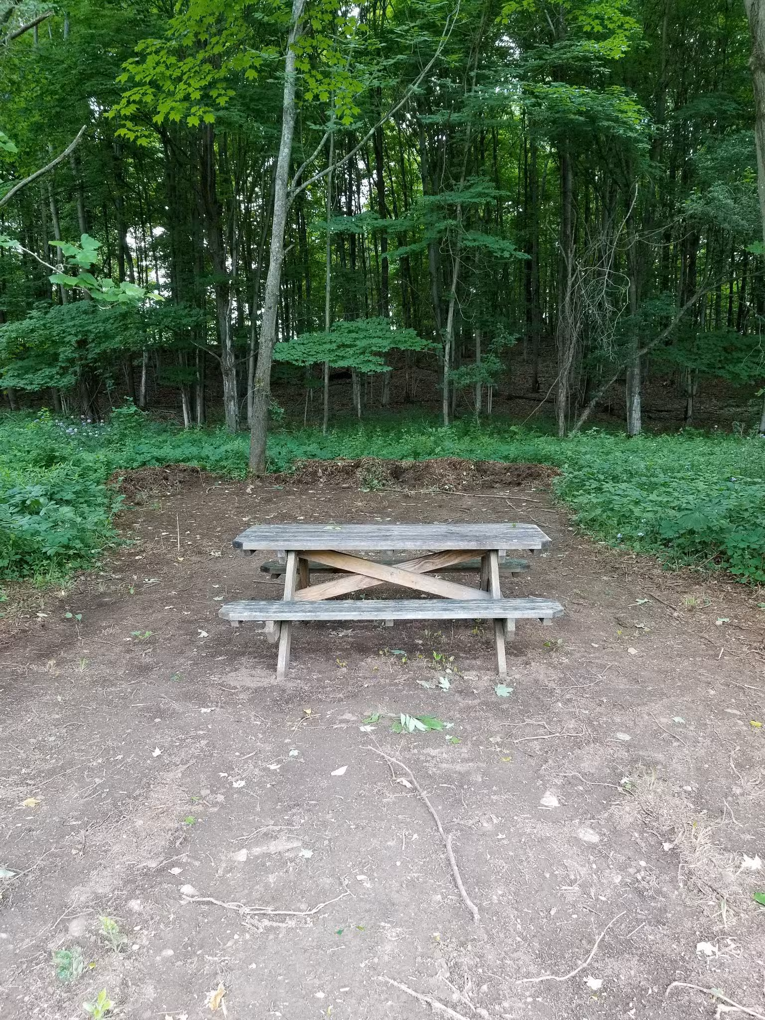 VIllage of Milford - Sabine Curry Recreational Park - Milford, NY