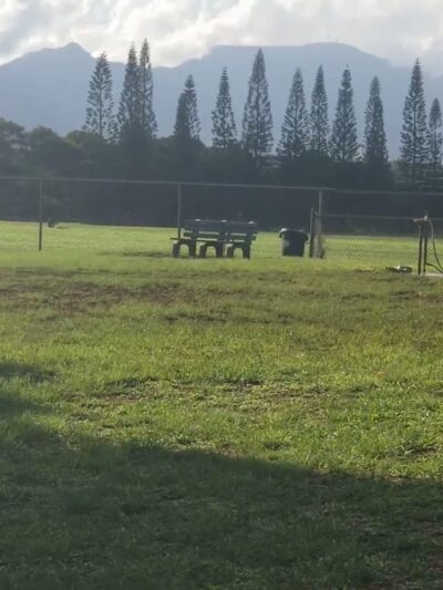Mililani Dog Park - Mililani, HI