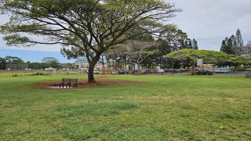 Mililani Dog Park - Mililani, HI