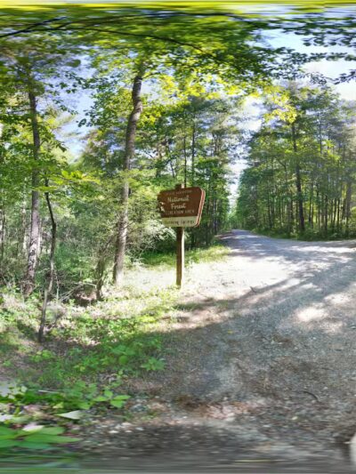 Bubbling Springs Day Use Area (recgovnpsdata) - Millboro, VA