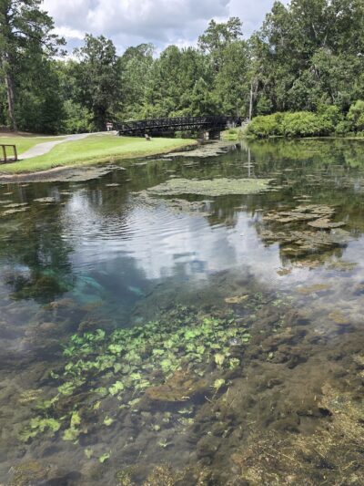 Magnolia Springs State Park - Millen, GA