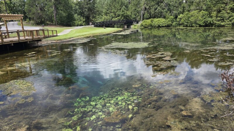 Magnolia Springs State Park - Millen, GA