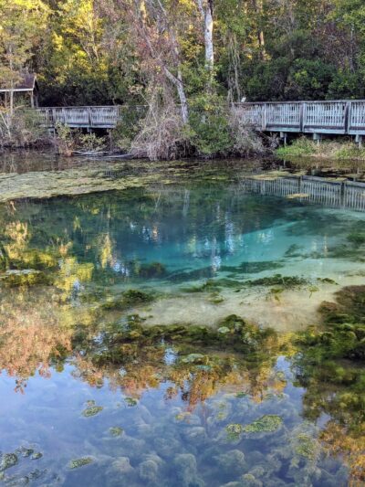 Magnolia Springs State Park - Millen, GA