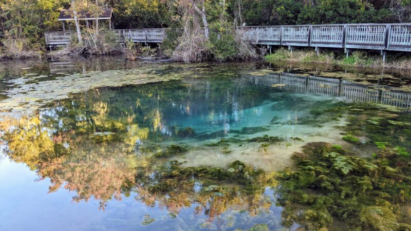 Magnolia Springs State Park - Millen, GA