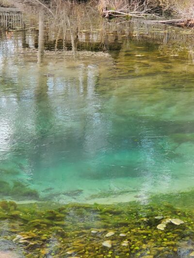 Magnolia Springs State Park - Millen, GA