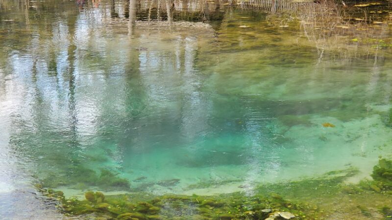 Magnolia Springs State Park - Millen, GA