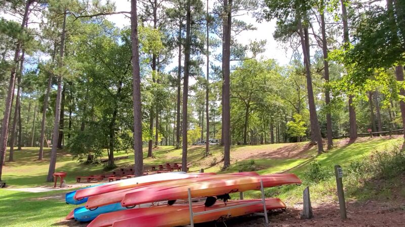 Magnolia Springs State Park - Millen, GA