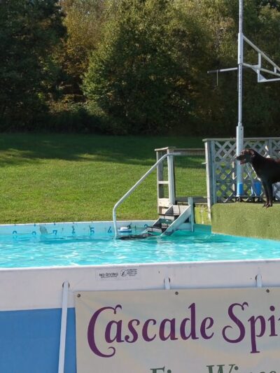 K9 Aqua Sports Club - Millerton, NY