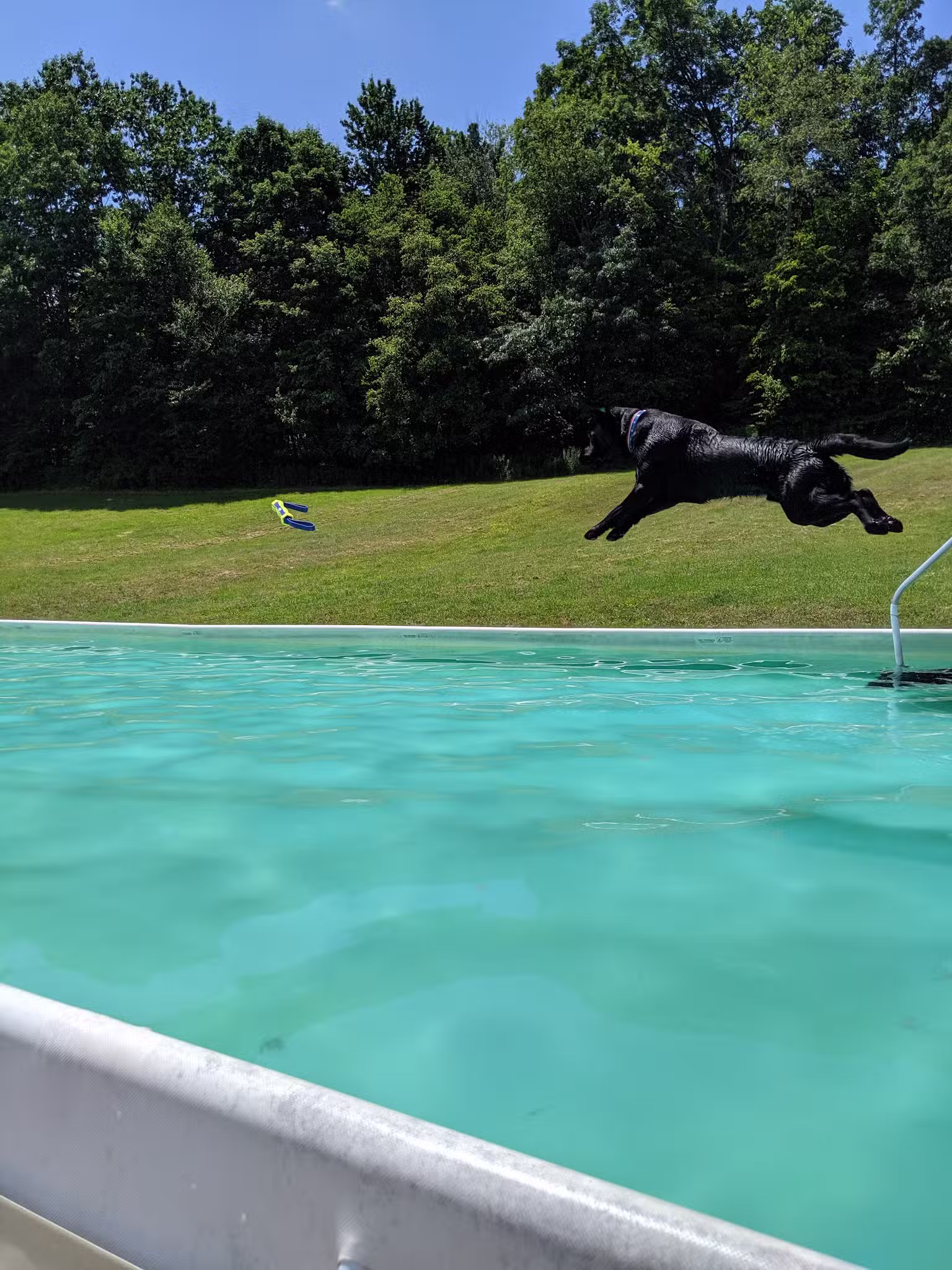 K9 Aqua Sports Club - Millerton, NY