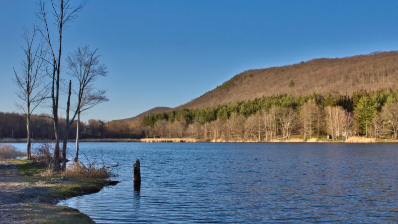 Taconic State Park - Rudd Pond Area - Millerton, NY