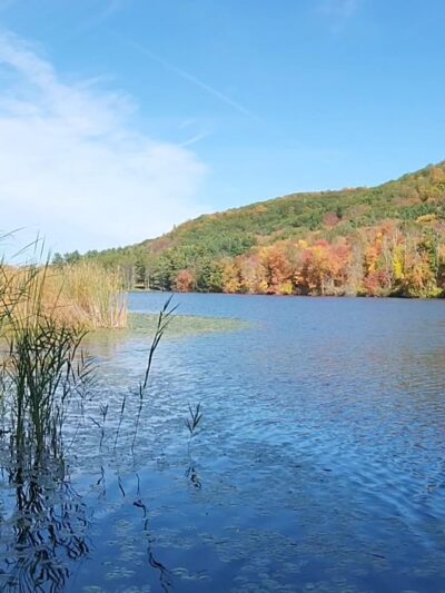 Taconic State Park - Rudd Pond Area - Millerton, NY