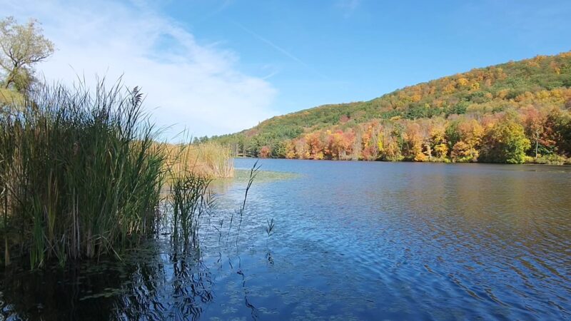 Taconic State Park - Rudd Pond Area - Millerton, NY