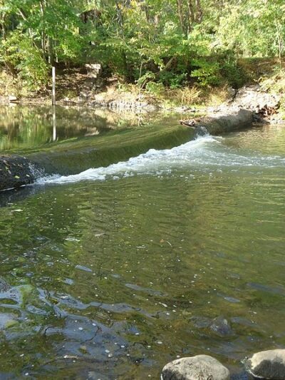 Passaic River County Park - Millington, NJ