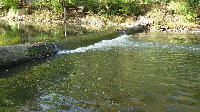 Passaic River County Park - Millington, NJ