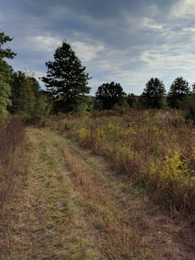 Passaic River County Park - Millington, NJ