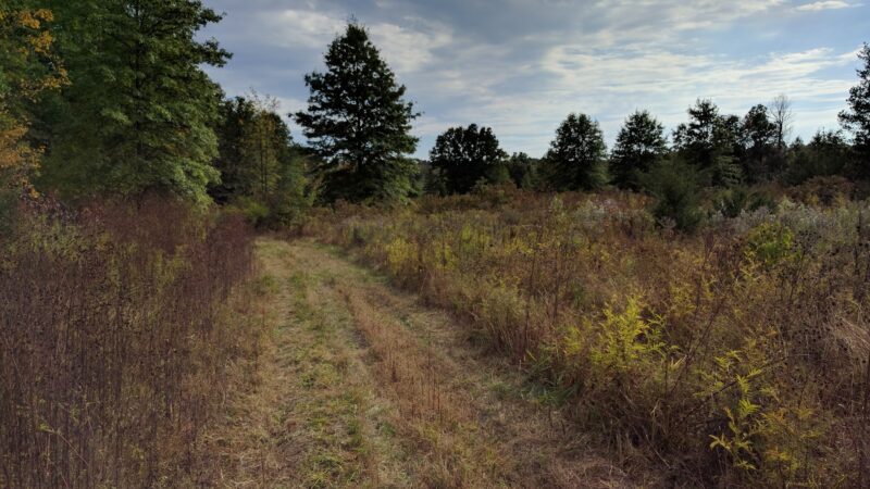 Passaic River County Park - Millington, NJ