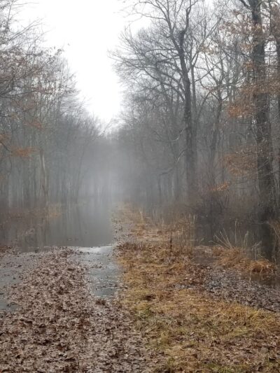Passaic River County Park - Millington, NJ
