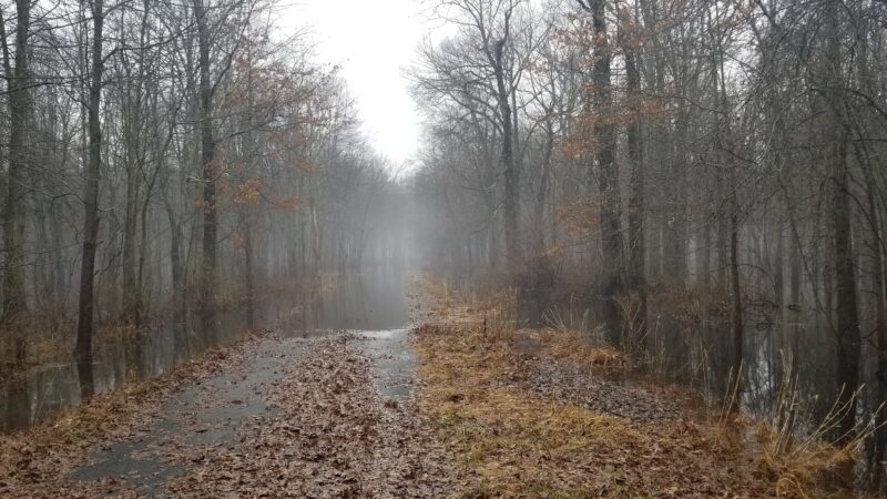 Passaic River County Park - Millington, NJ