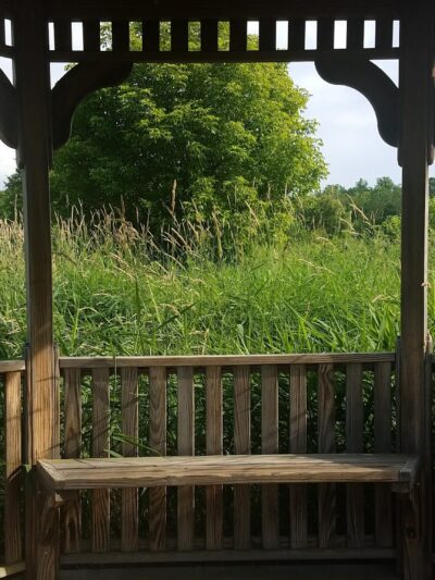 Passaic River County Park - Millington, NJ