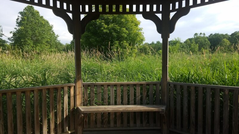 Passaic River County Park - Millington, NJ