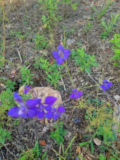 Beaver Dam Park - Milltown, NJ